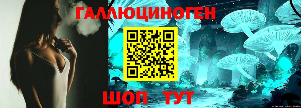 Галлюциногенные грибы GOLDEN TEACHER  где продают   Котовск  Вход с VPN 